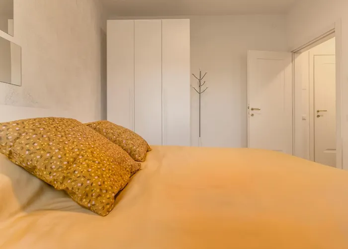 Domus Color 3*