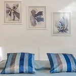 Domus Color Πανσιόν