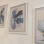 Domus Color