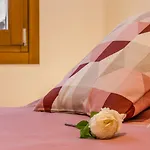 Domus Color Πανσιόν Πάδοβα