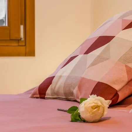 Domus Color Guest house Padova