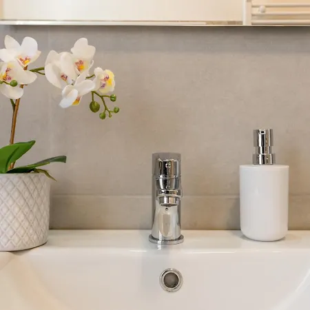 ゲストハウス Domus Color 3*