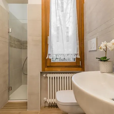 Domus Color 3* بادوفا