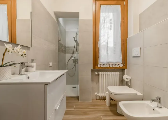 Domus Color 3* Padua