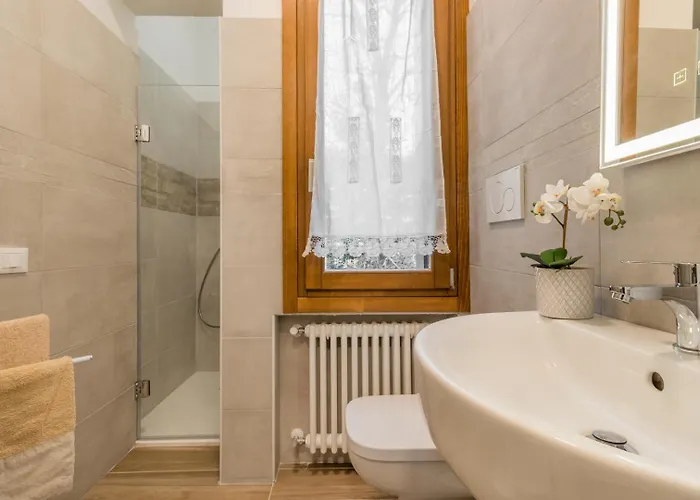 Domus Color 3* Padua